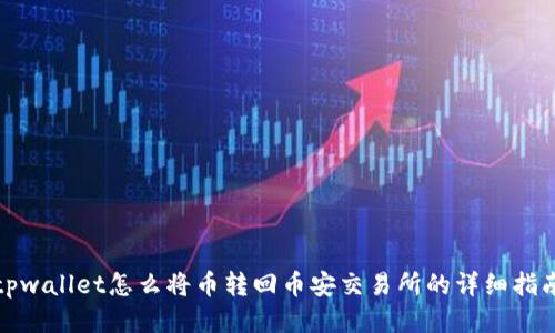 tpwallet怎么将币转回币安交易所的详细指南